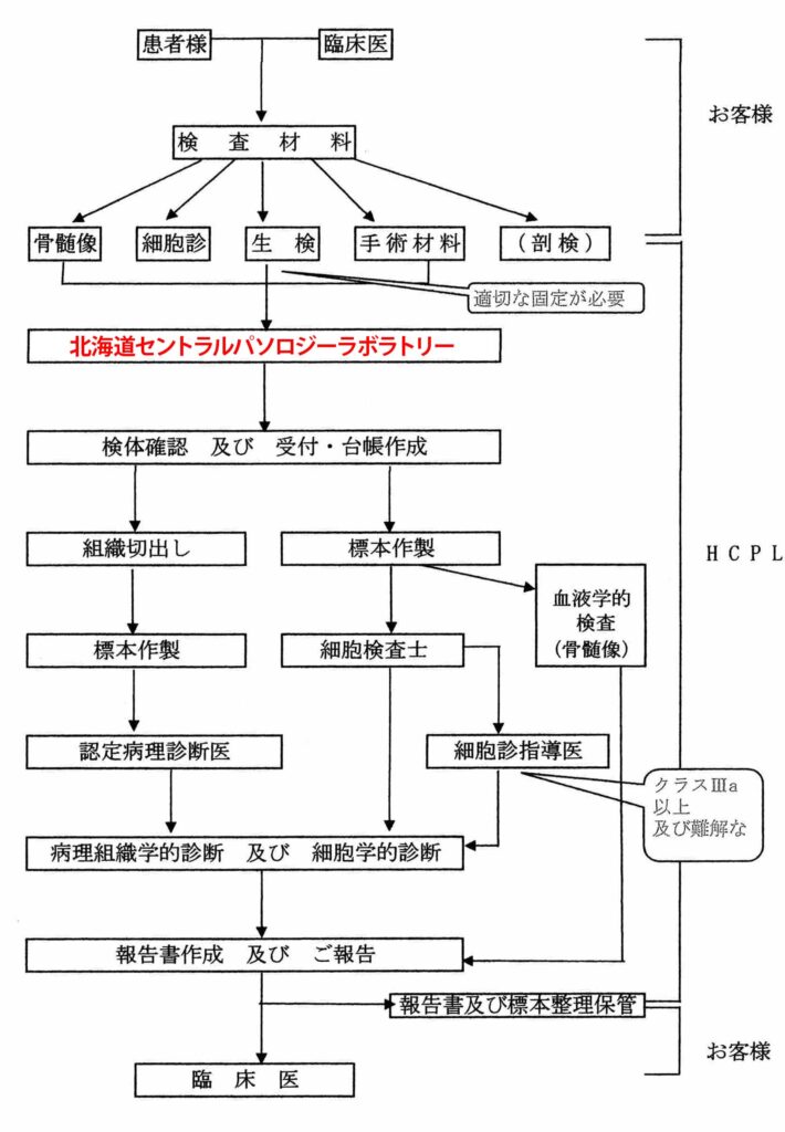 病理組織及び細胞診及び血液学的検査手順